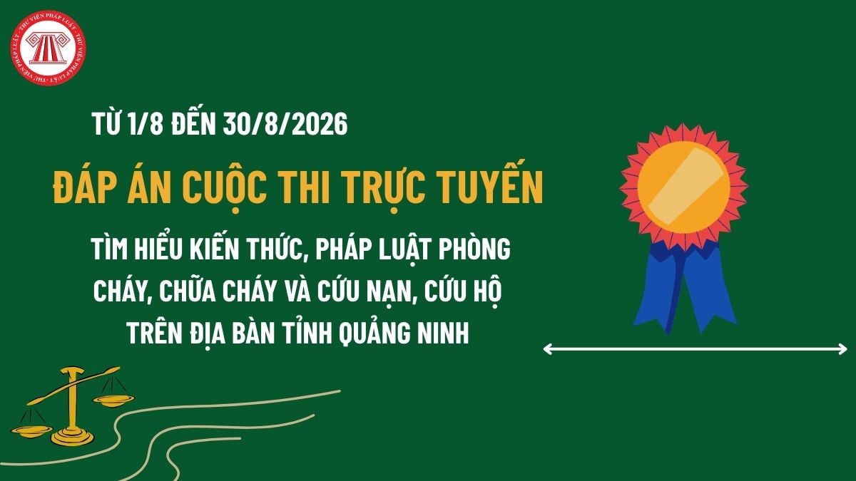 Pháp luật