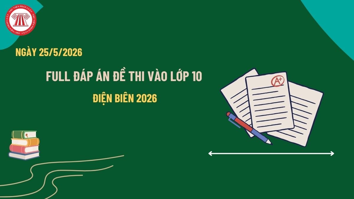 Pháp luật