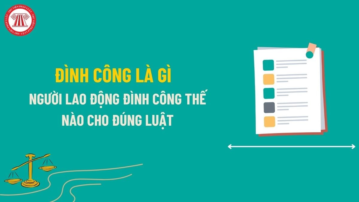 Pháp luật