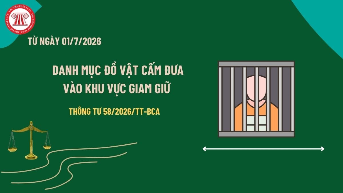 Pháp luật