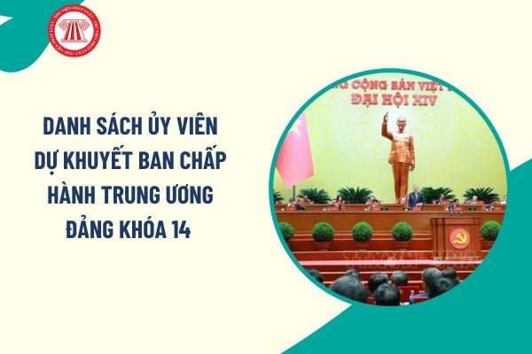 Pháp luật