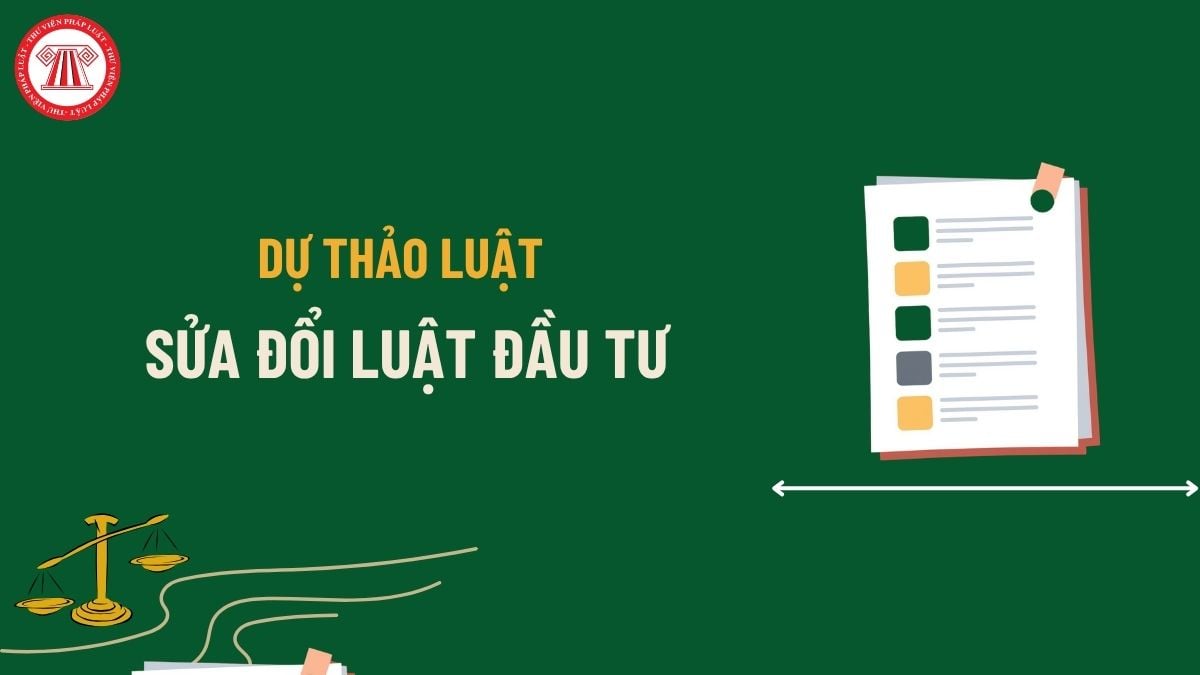 Pháp luật