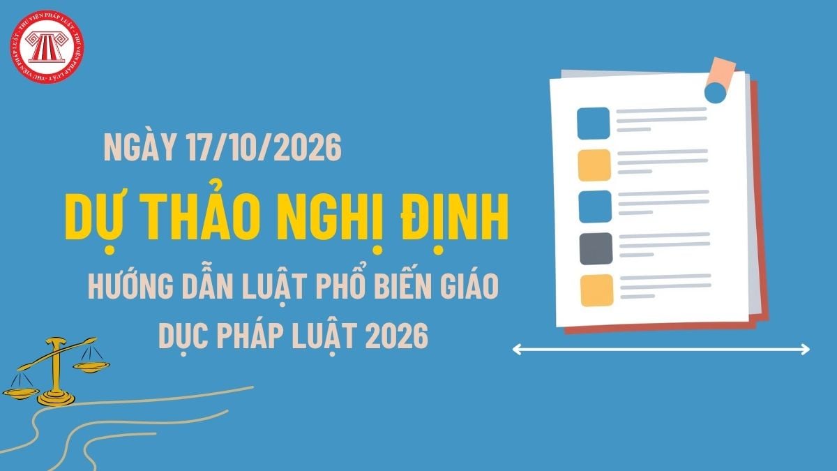 Pháp luật