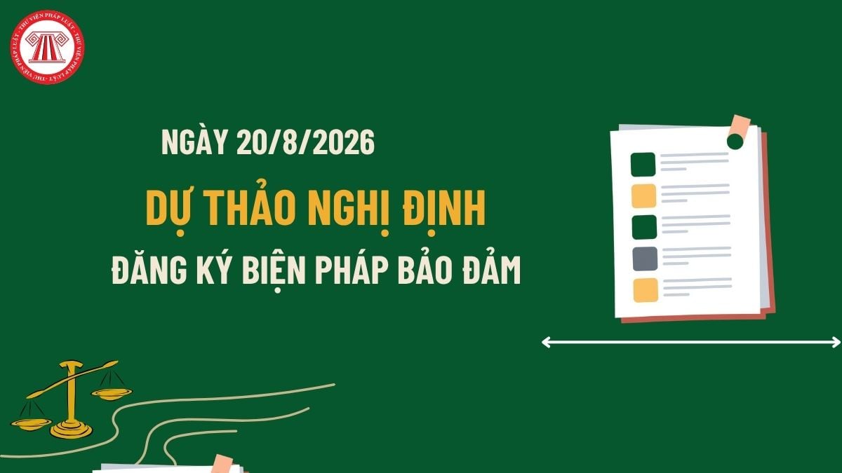 Pháp luật