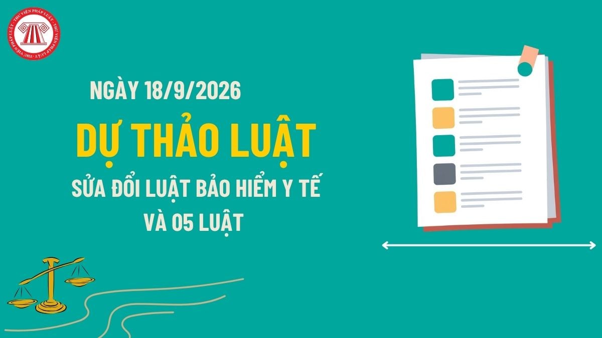 Pháp luật