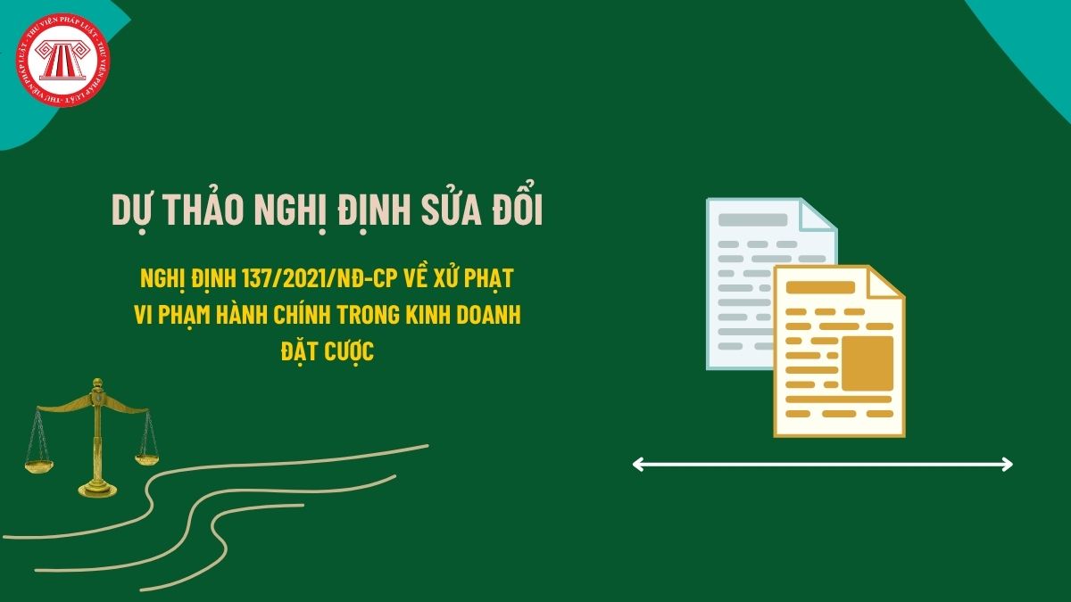 Pháp luật