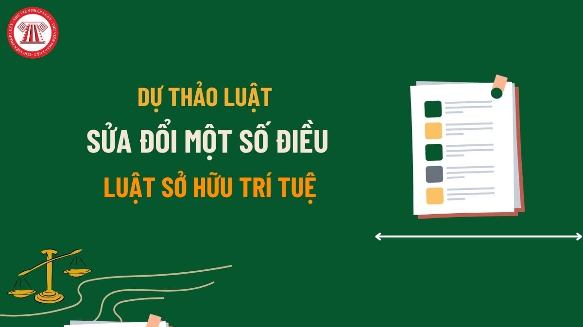 Pháp luật