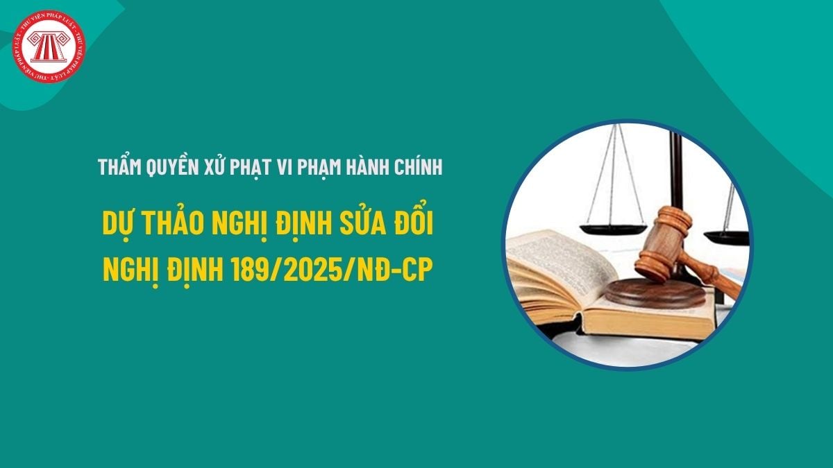 Pháp luật