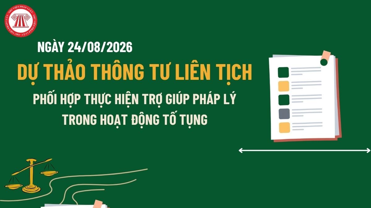 Pháp luật