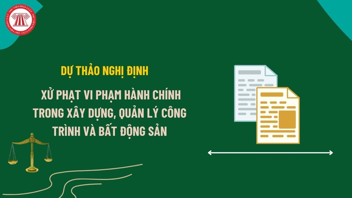 Pháp luật