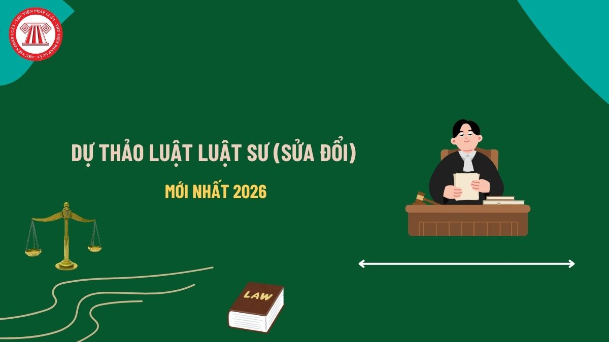 Pháp luật