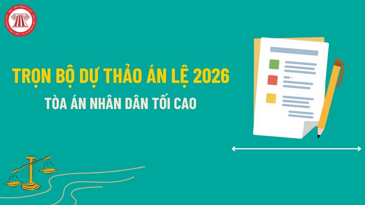Pháp luật