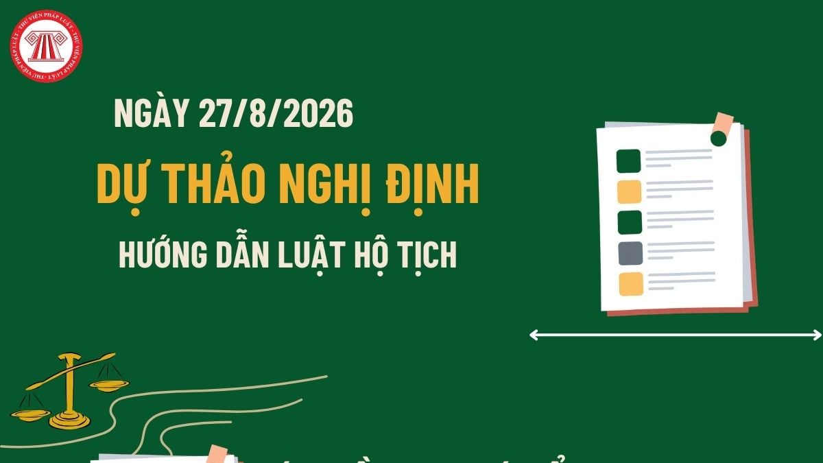 Pháp luật