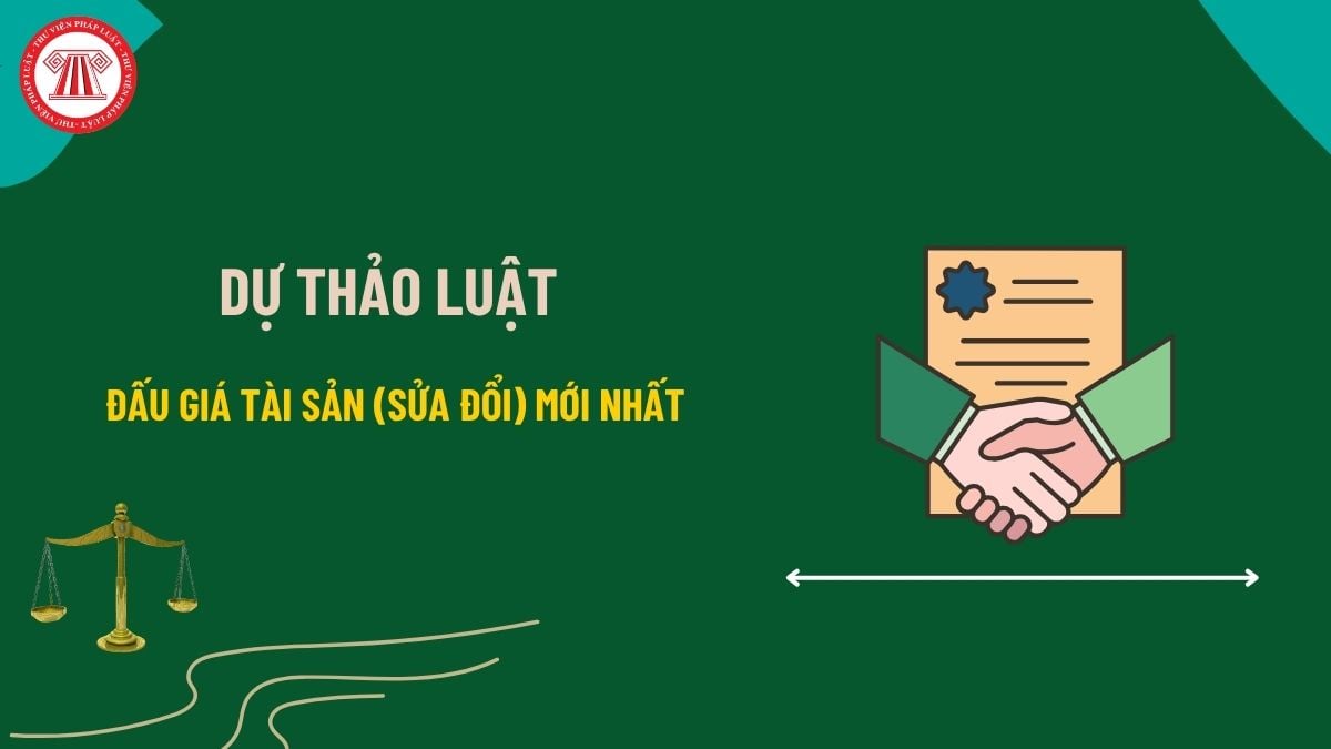 Pháp luật
