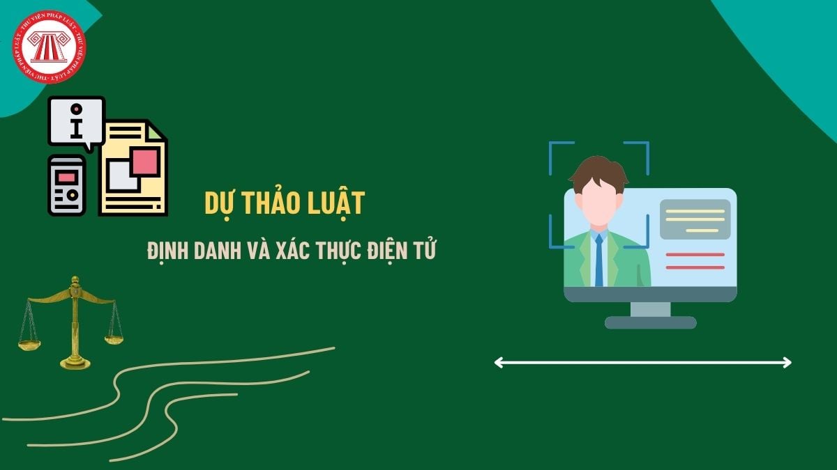 Pháp luật