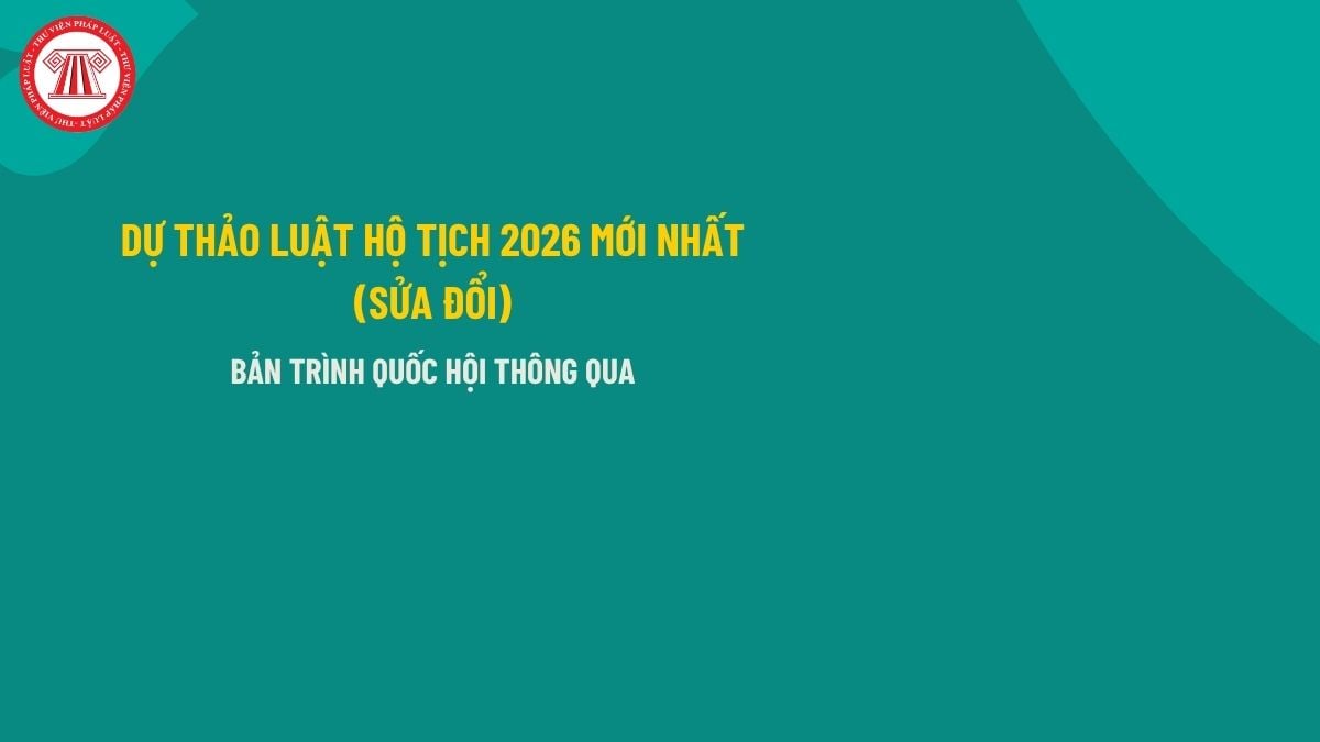 Pháp luật