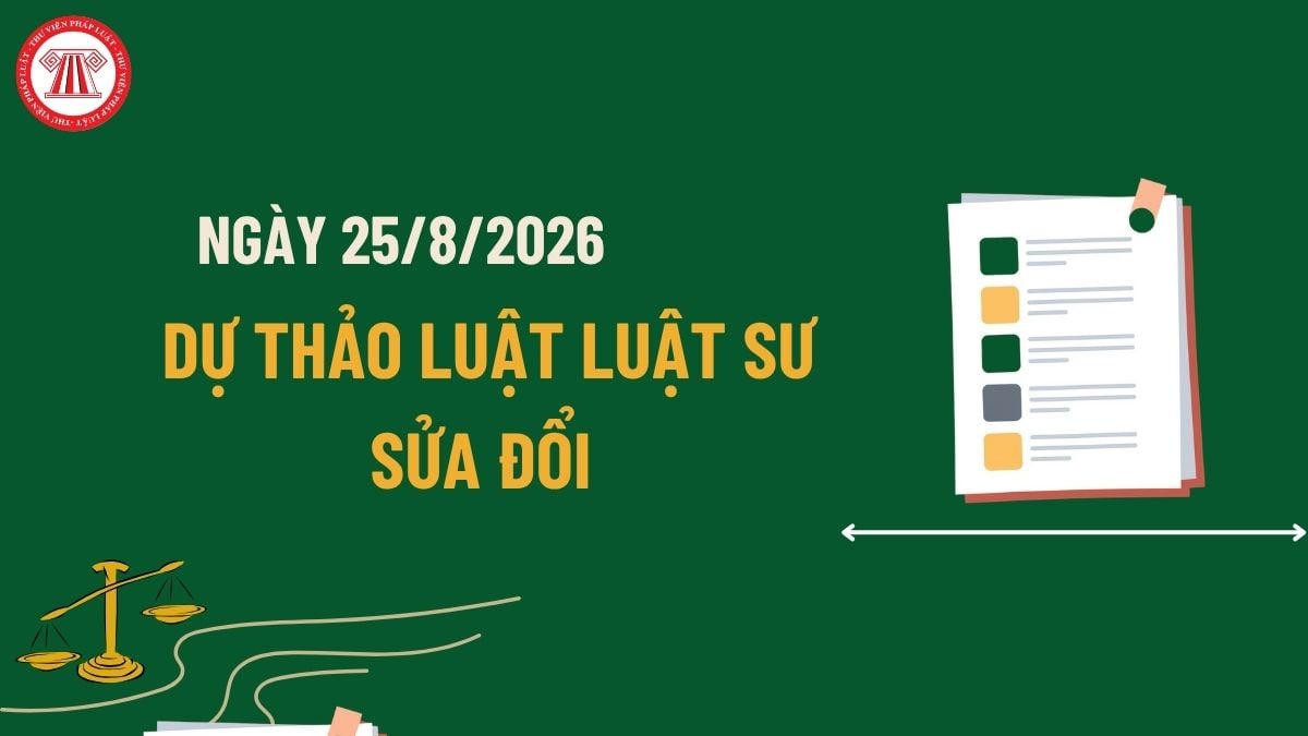 Pháp luật