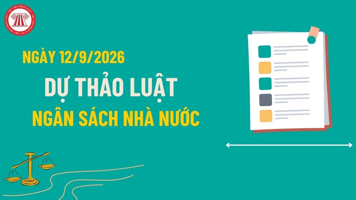 Pháp luật