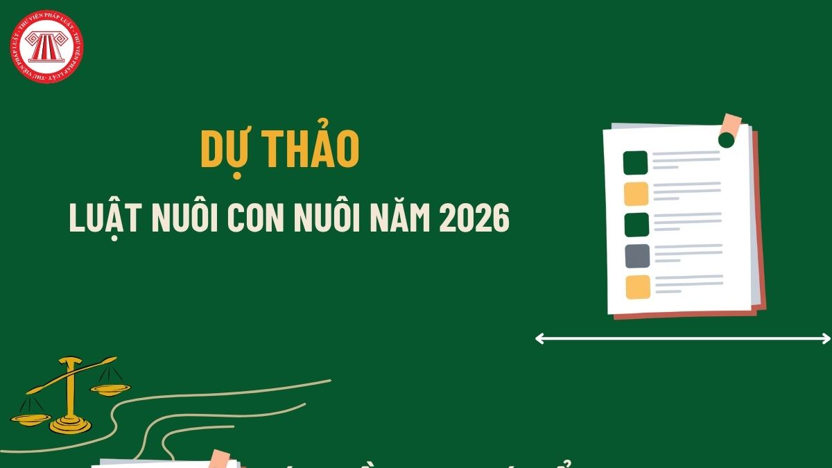 Pháp luật