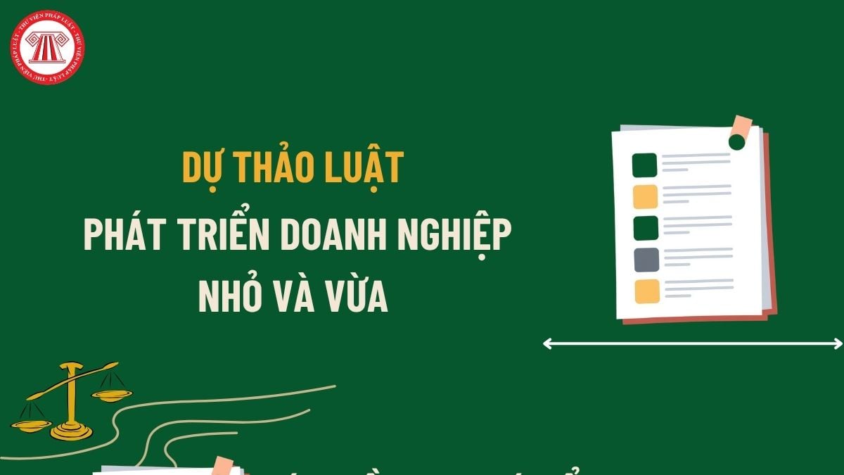Pháp luật
