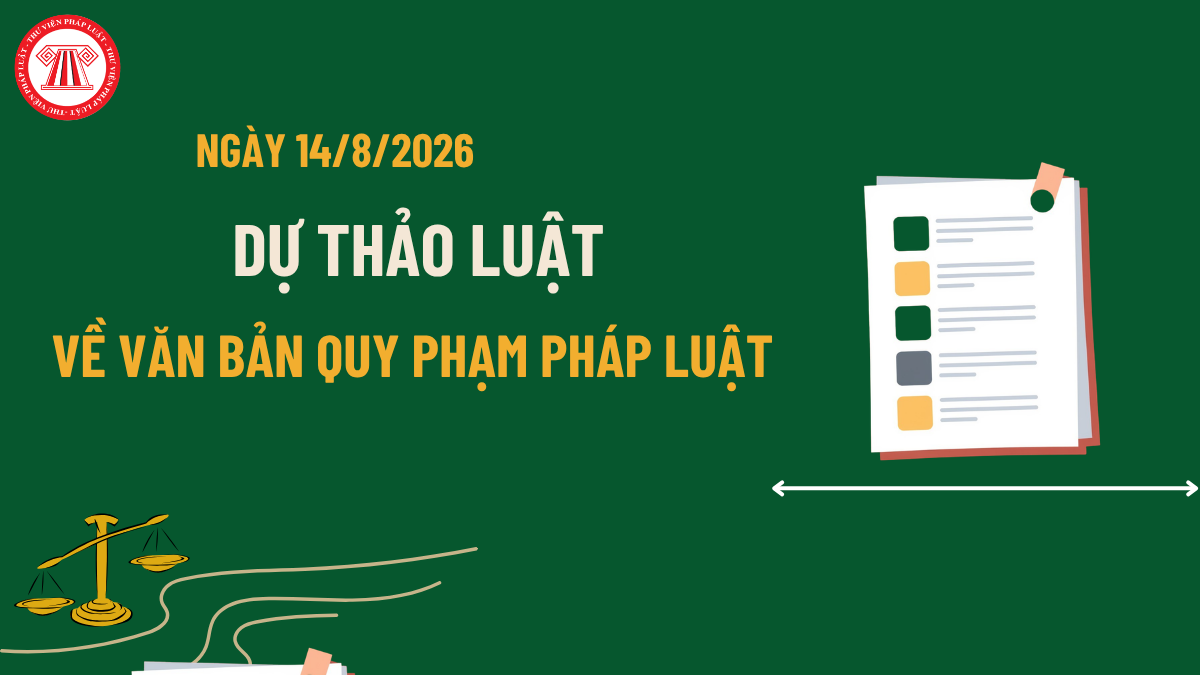Pháp luật