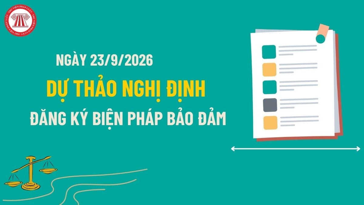 Pháp luật