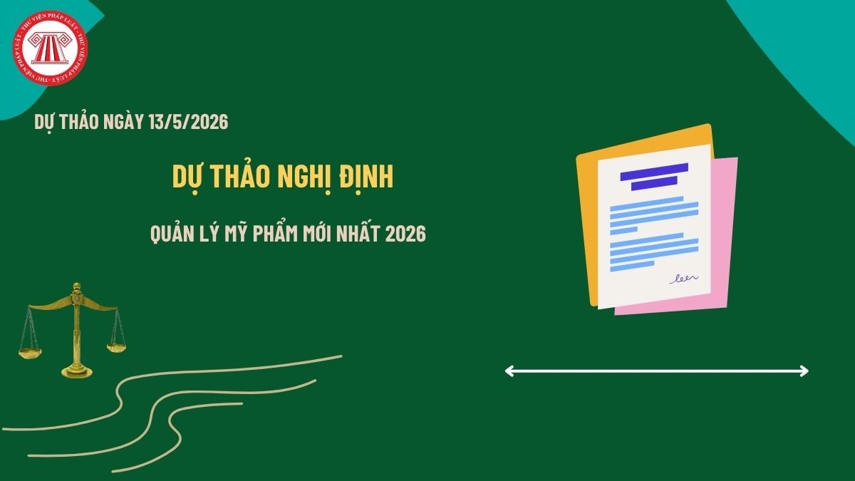Pháp luật