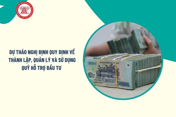 Pháp luật