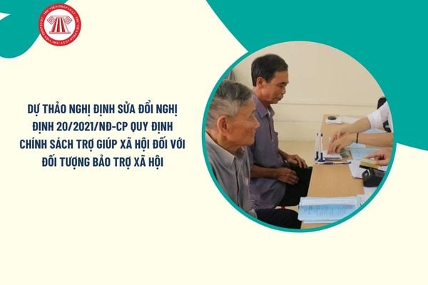 Pháp luật