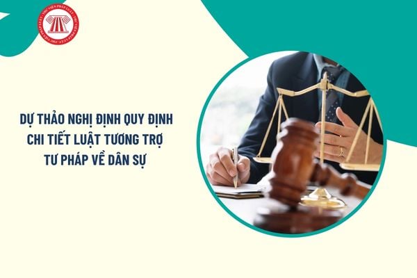 Pháp luật