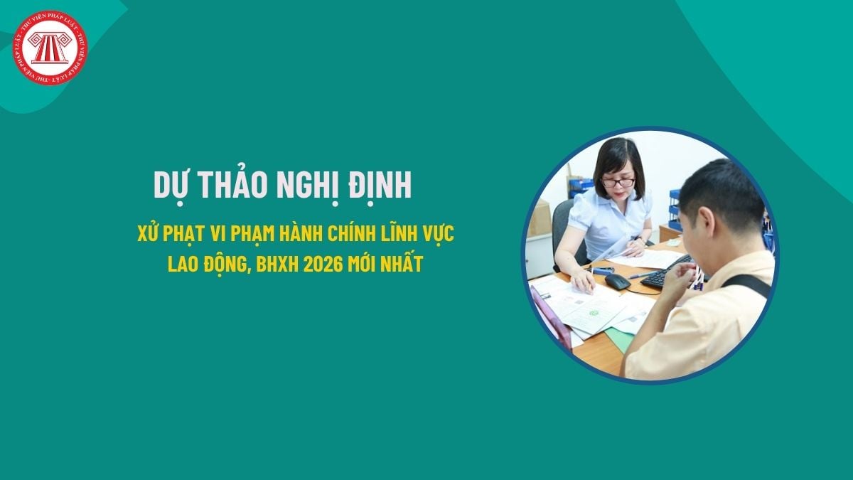 Pháp luật