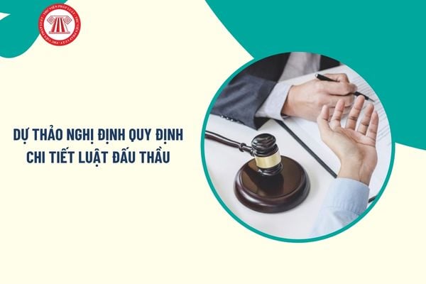 Pháp luật