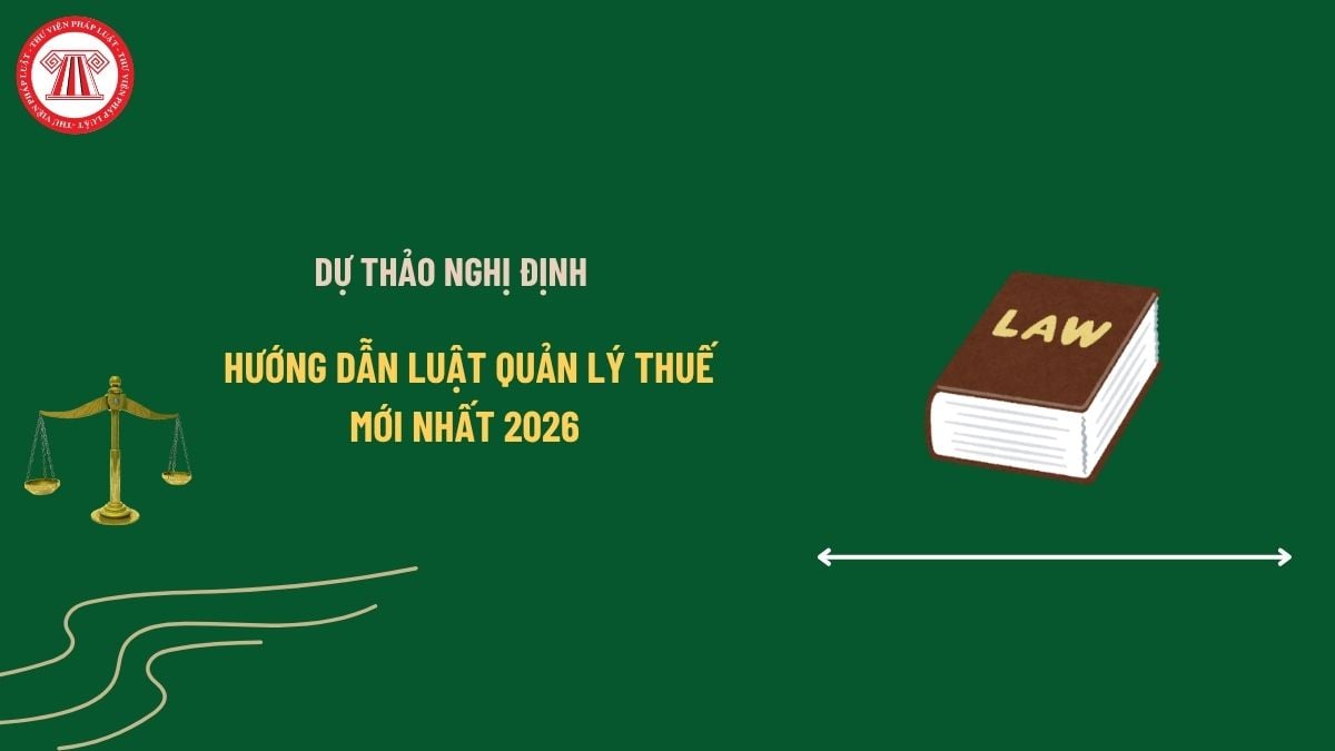 Pháp luật