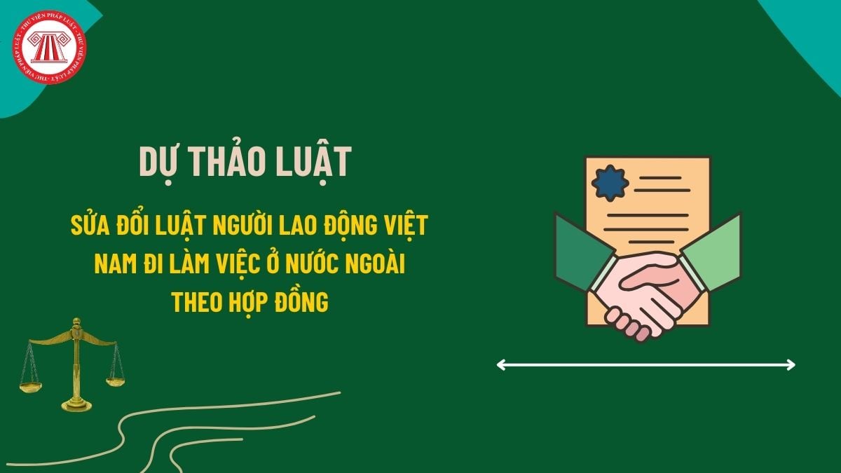 Pháp luật