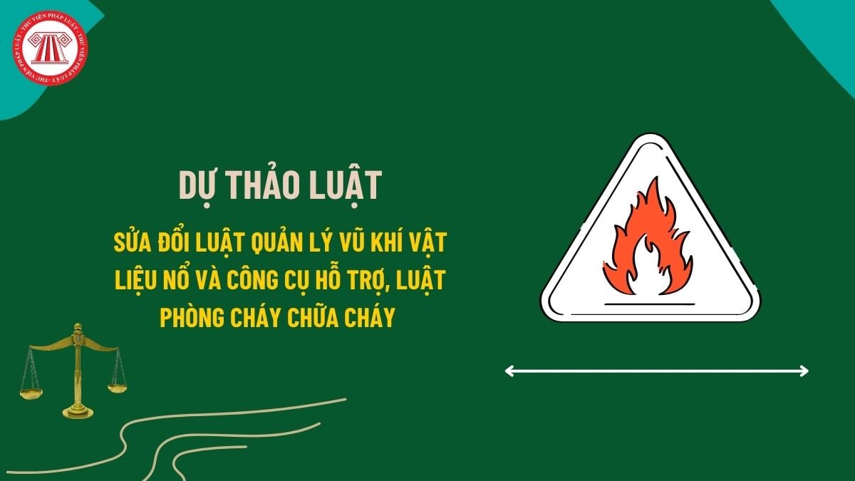 Pháp luật
