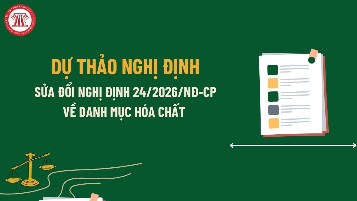 Pháp luật