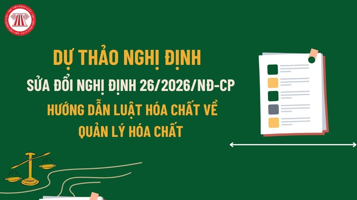 Pháp luật