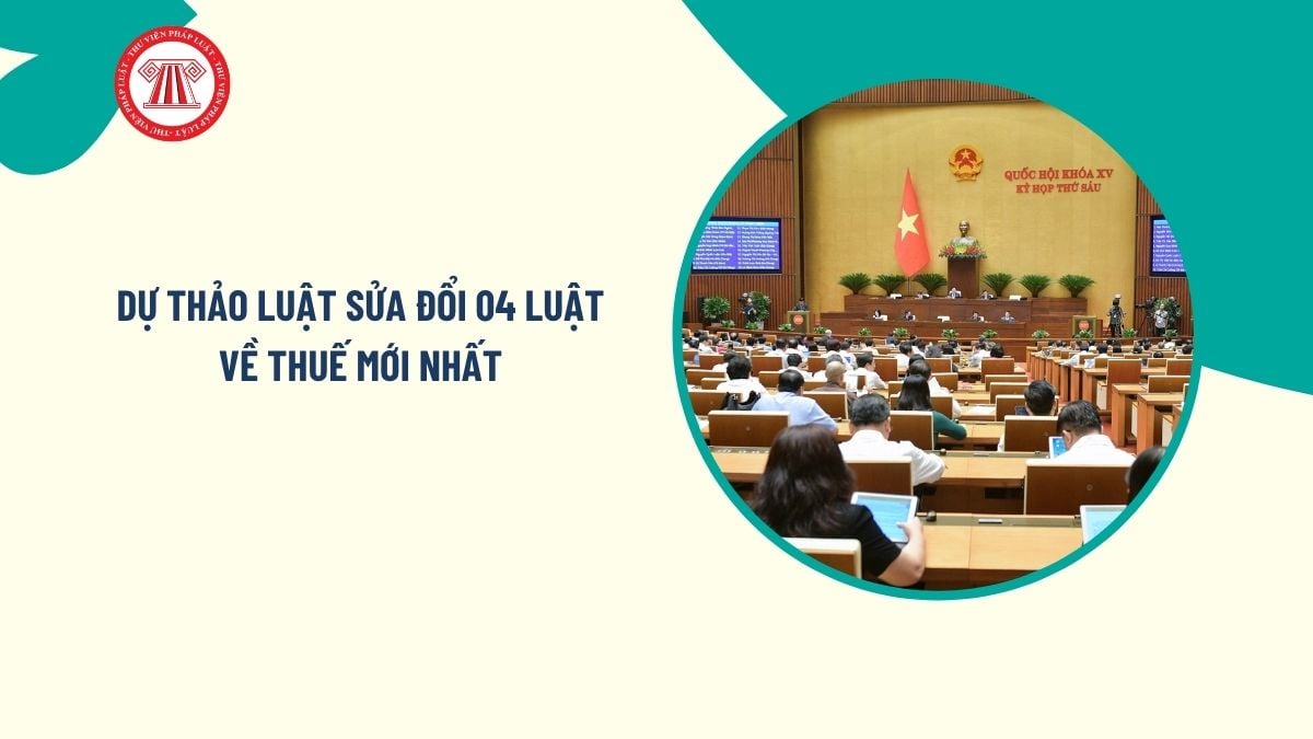 Pháp luật