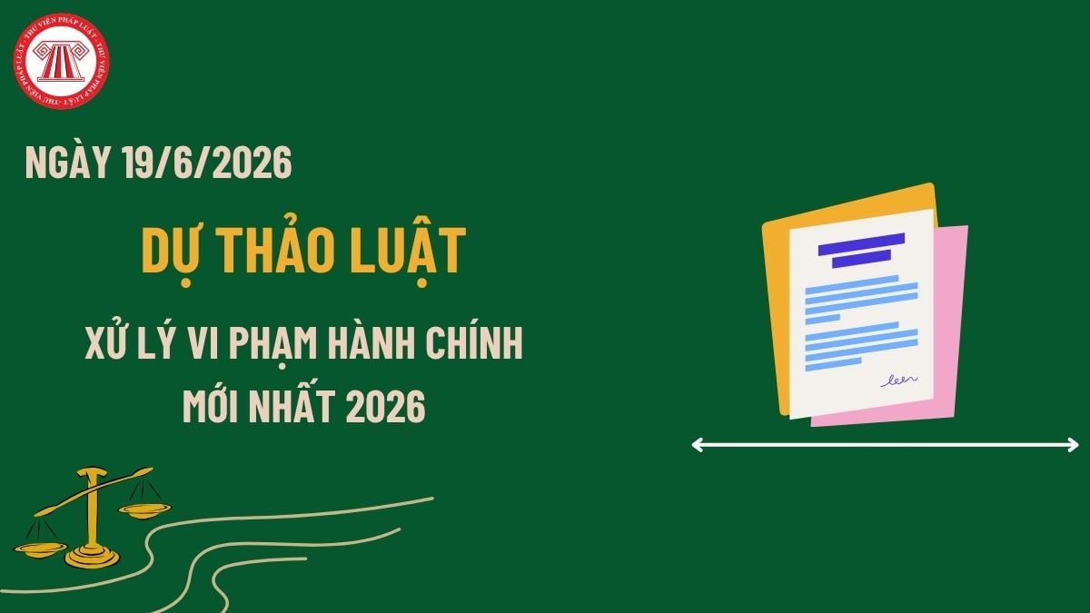 Pháp luật