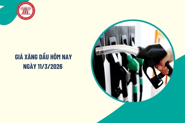 Pháp luật