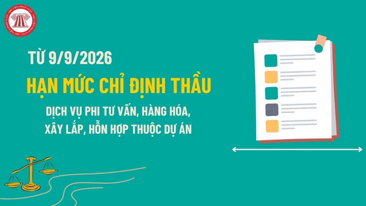 Pháp luật