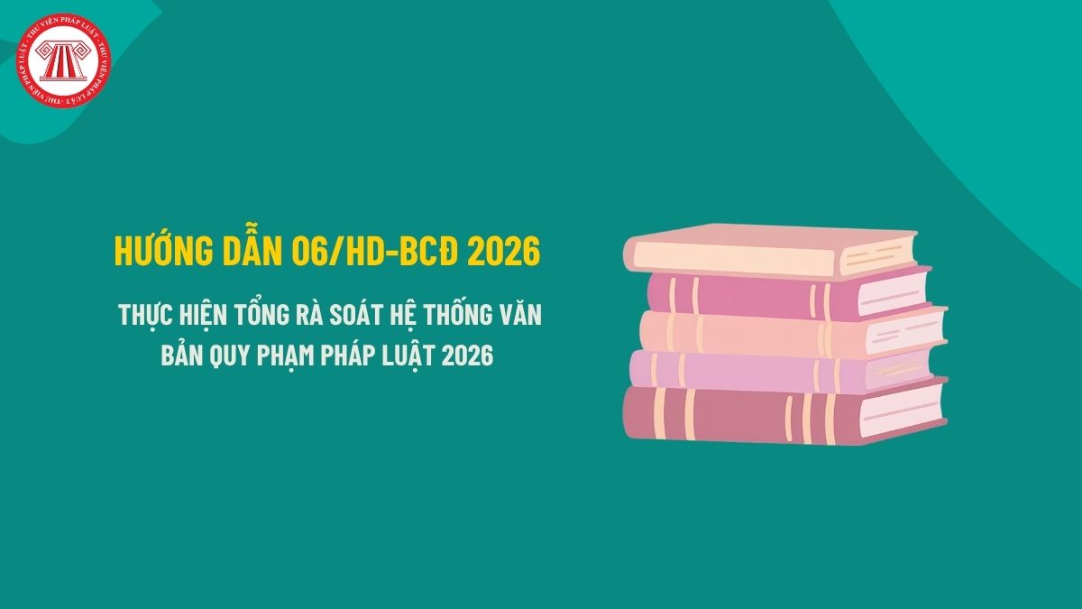 Pháp luật