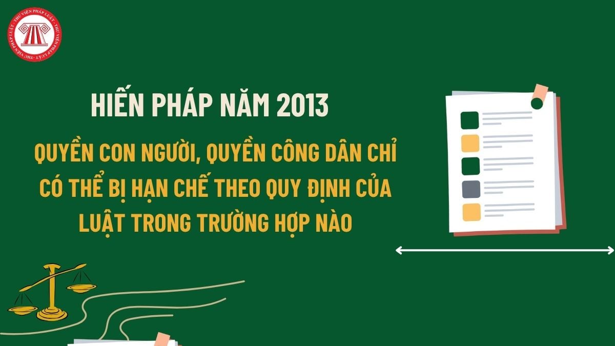 Pháp luật