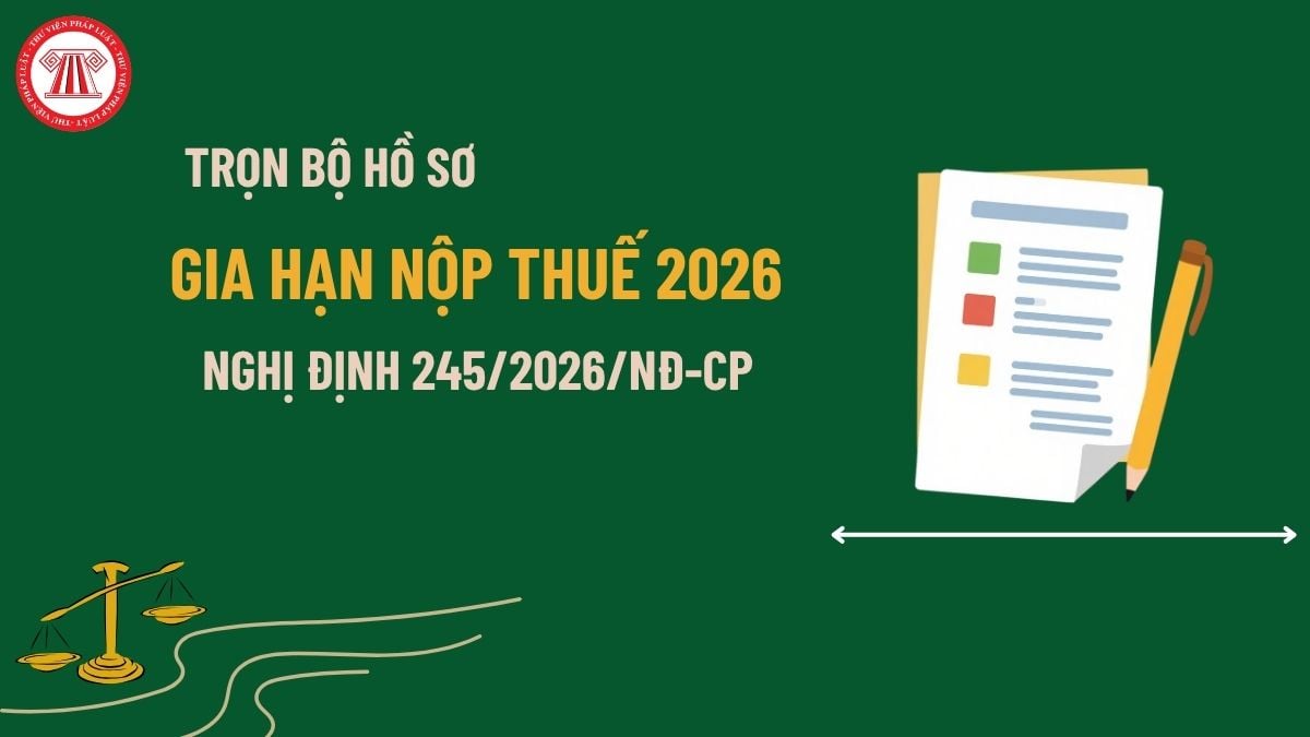 Pháp luật