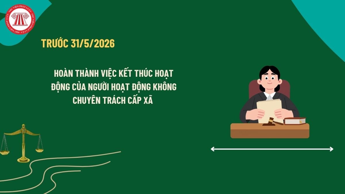 Pháp luật