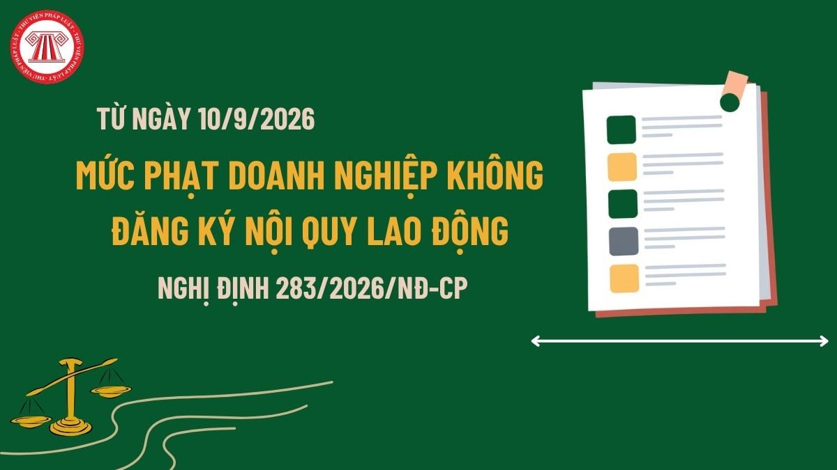 Pháp luật