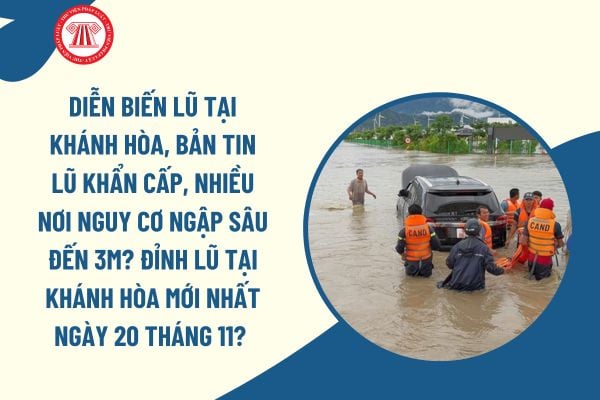 Pháp luật