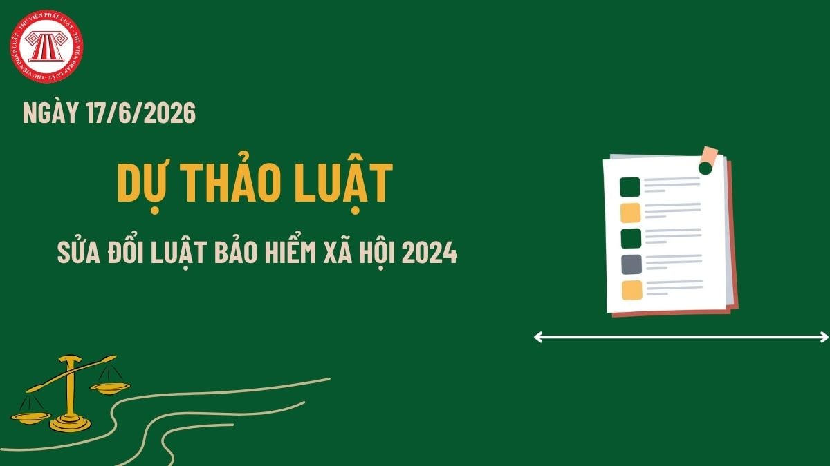 Pháp luật