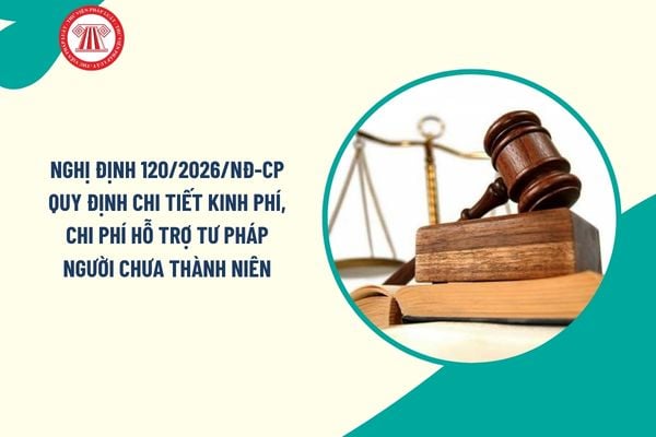 Pháp luật