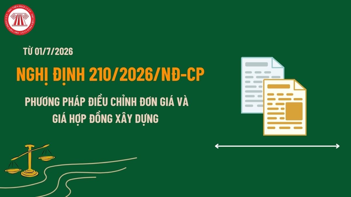 Pháp luật